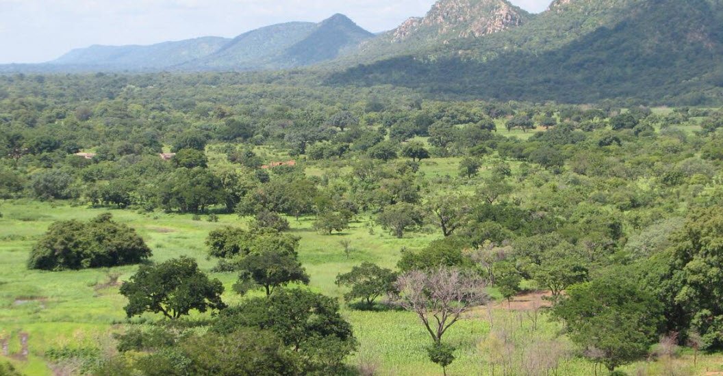 W National Park (Parc W), Tillabéri Region (tri-border with Benin & Burkina Faso), Niger
